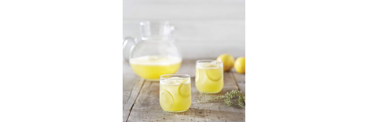 Zitronen-Limonade - Mit dem Vitamix erfrischende Getränke zaubern